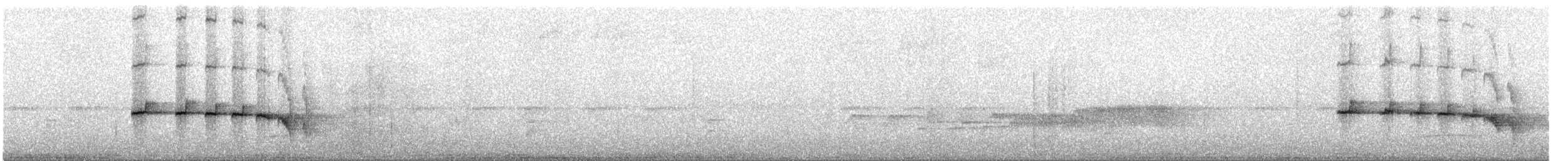 Rotschwanz-Ameisenvogel - ML597495551