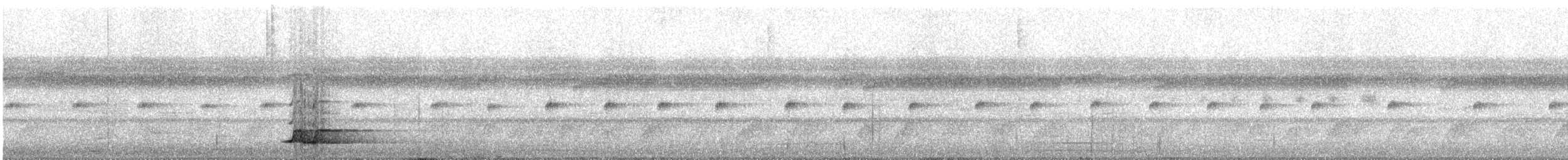 Tinamou à calotte noire - ML597495891