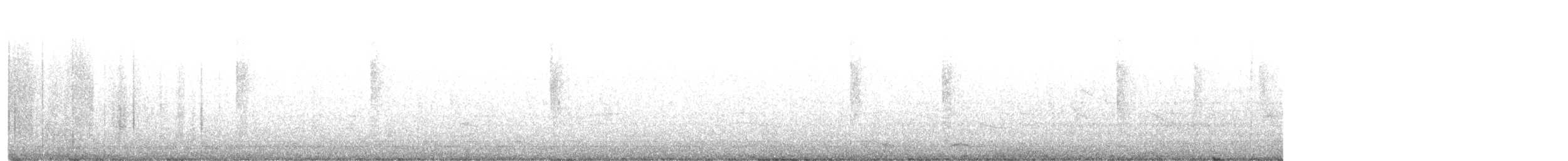 Colibri à gorge blanche - ML597498061