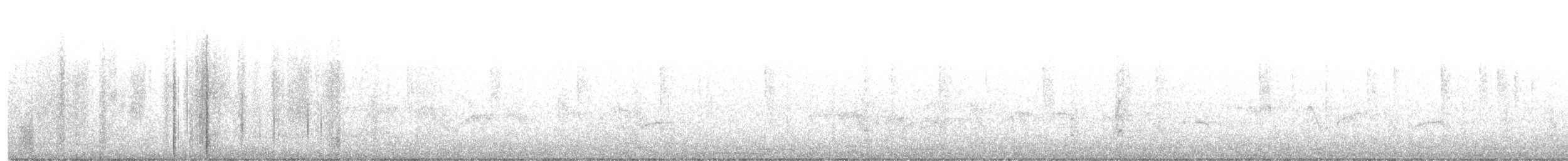 Colibri à gorge blanche - ML597498071