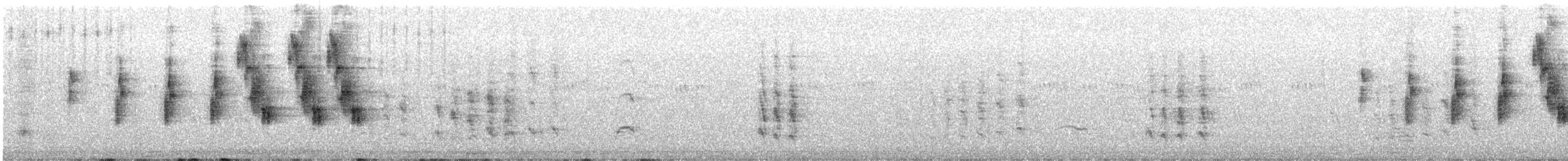 Rotschulterkardinal - ML597499521