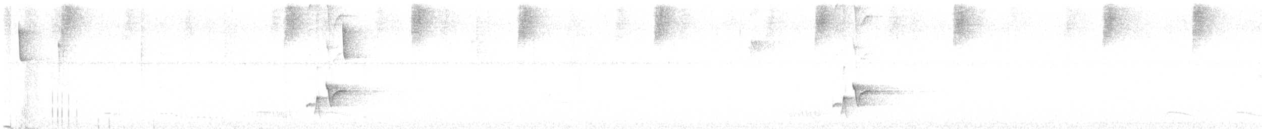 Troglodyte à calotte noire - ML597502361