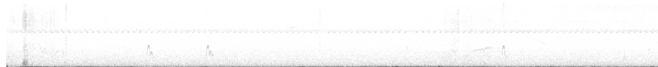 Schlankschnabel-Regenpfeifer - ML597513801