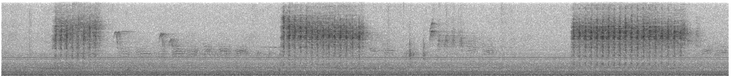 Troglodyte familier (groupe aedon) - ML597517491