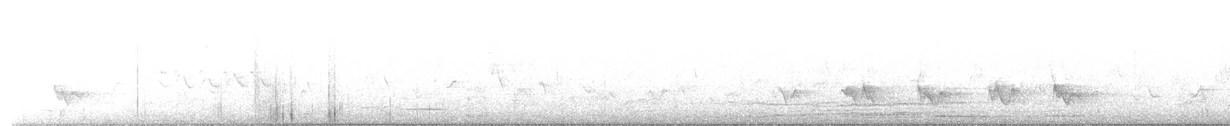 Піранга жовтогуза - ML597525741