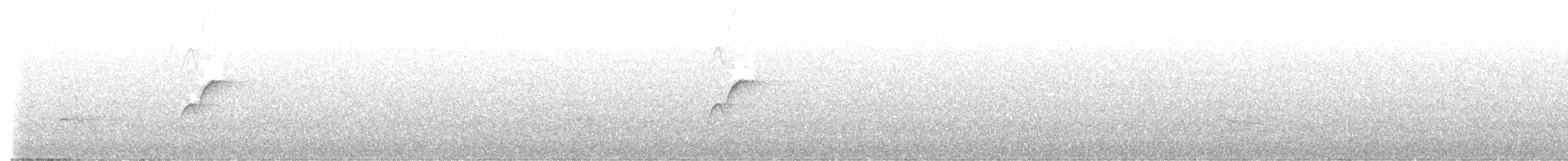 Batı Amerika Sinekkapanı (occidentalis/hellmayri) - ML597532711