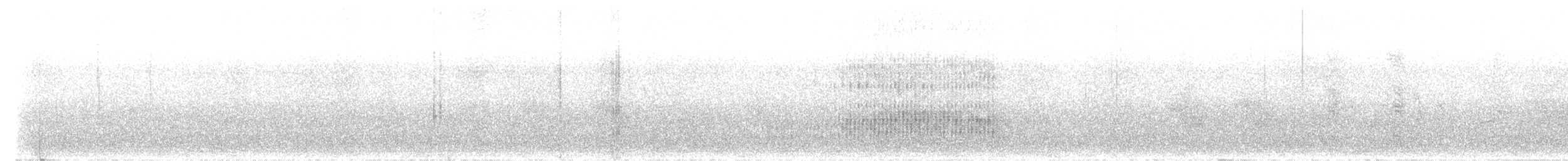 Steller Kargası [stelleri grubu] - ML597545001