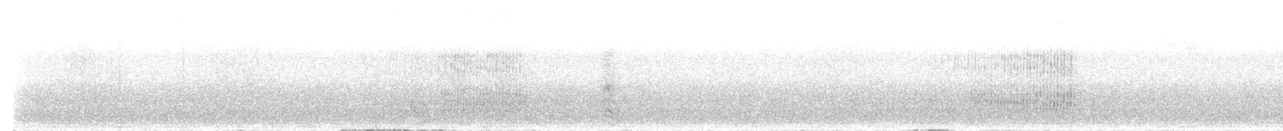 Geai de Steller (groupe stelleri) - ML597545011