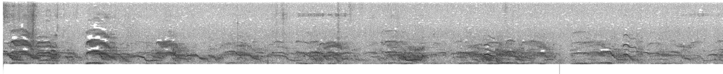 Common Tern - ML597579311