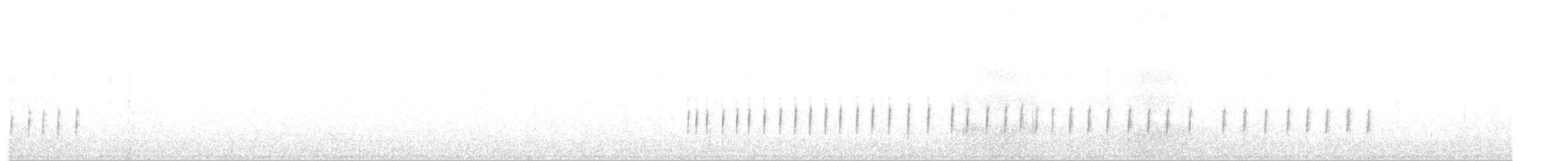 Тиранчик-довгохвіст білогорлий - ML597591251