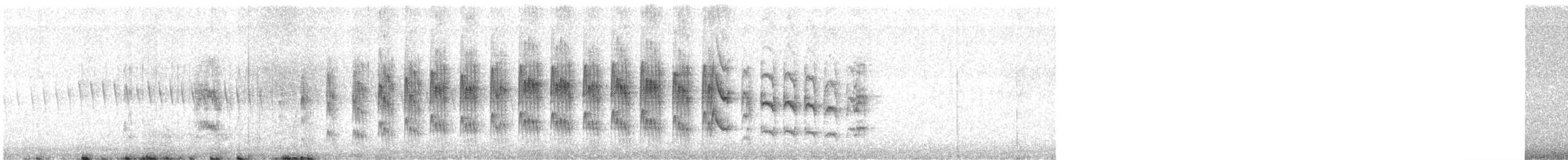 Graubrust-Tachurityrann - ML597621581