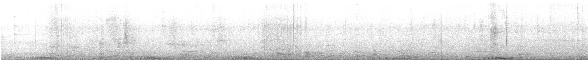 holub skalní (domácí) - ML597659221