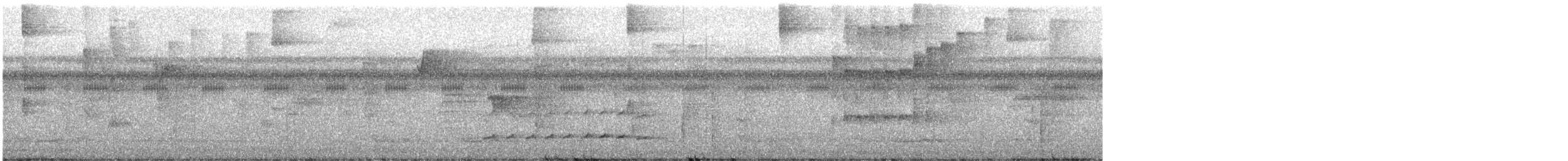 perletreløper - ML597666951