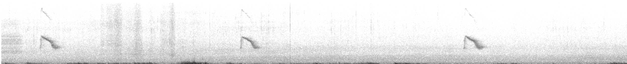 Пестрогорлый соловьиный дрозд - ML597669751