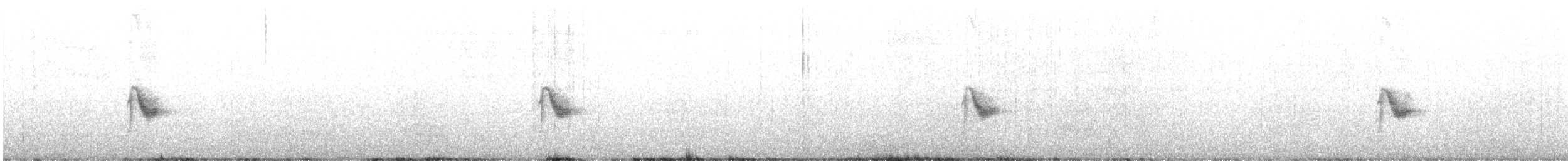 Пестрогорлый соловьиный дрозд - ML597669761