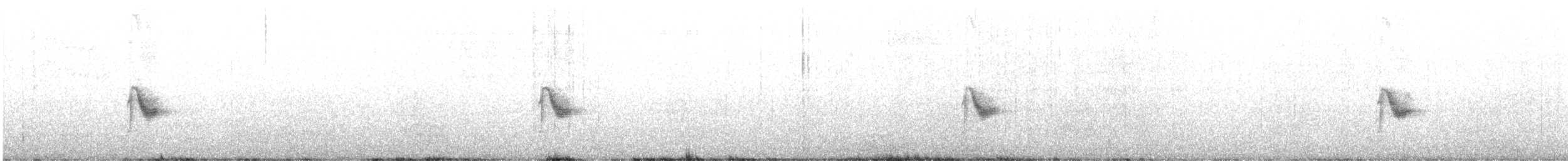 ヒスパニオラチャツグミ - ML597669761