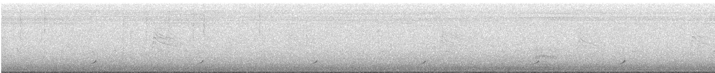 svartsilkefugl - ML597675511