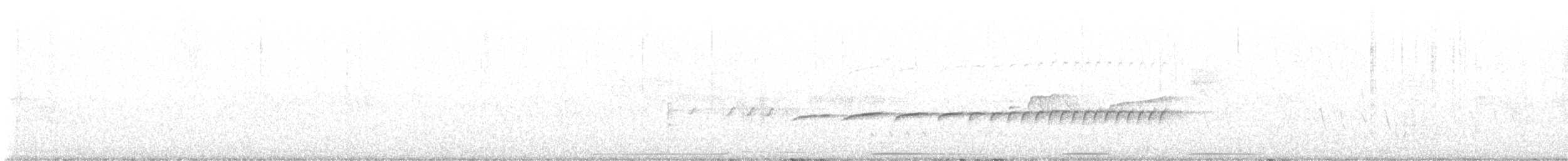 ヒメドリ - ML597689591