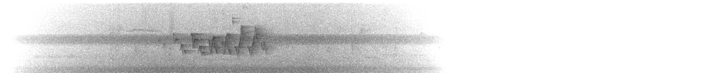 ワキチャアメリカムシクイ - ML597717271