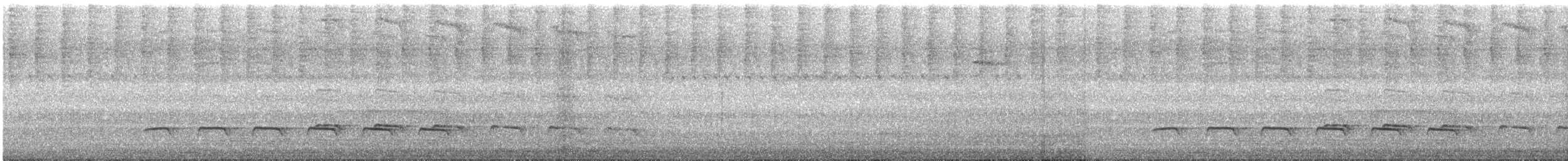 Weißbinden-Ameisenvogel - ML597737631