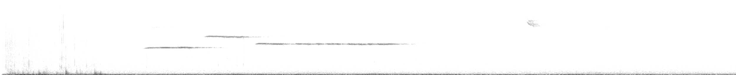 Белогорлая зонотрихия - ML597754301