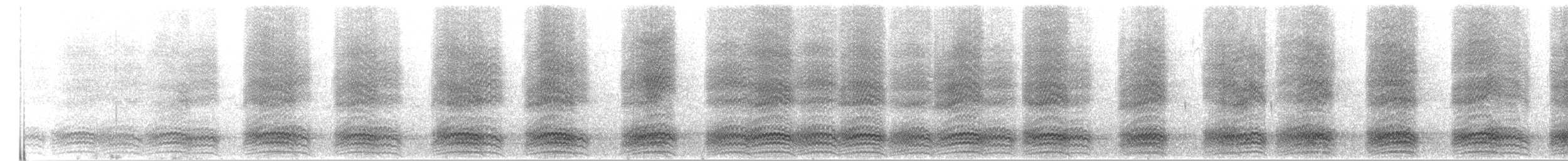 Hispaniolan Palm-Crow - ML597777001