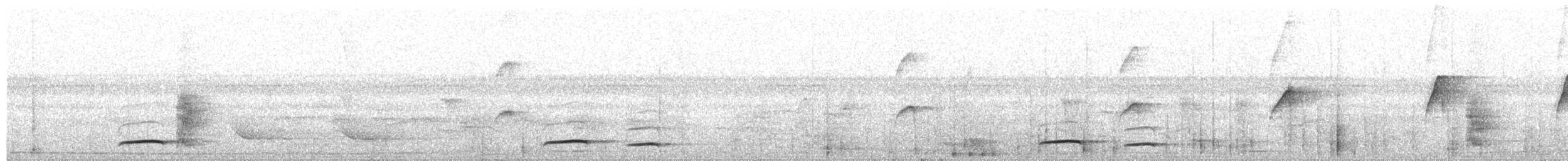 Тиран-плоскодзьоб малий - ML597777471