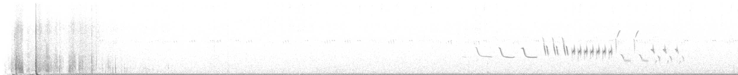 オジロヒメドリ - ML597779741