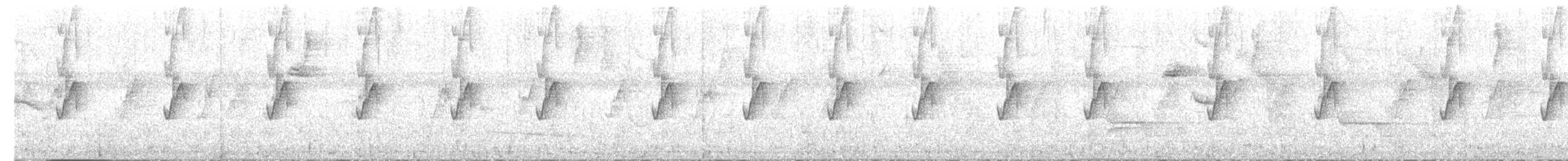 Длинноклювый колибри-отшельник (baroni) - ML597782201
