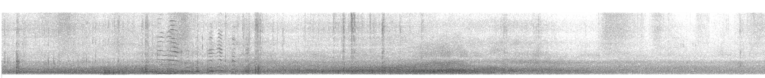 黃嘴天鵝 - ML597793001