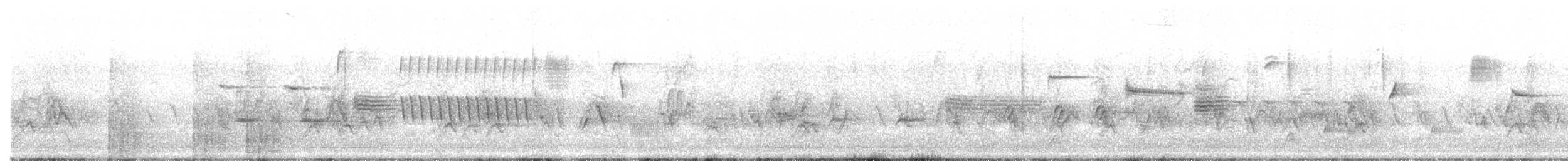 Song Sparrow (montana/merrilli) - ML597793771