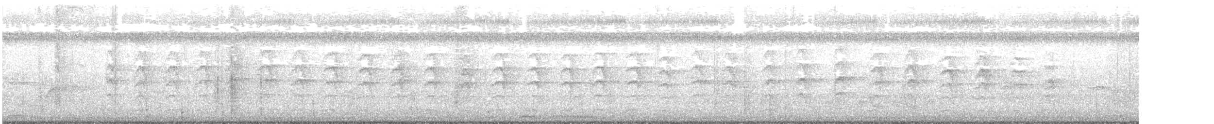 Ошейниковая веерохвостка - ML597802881