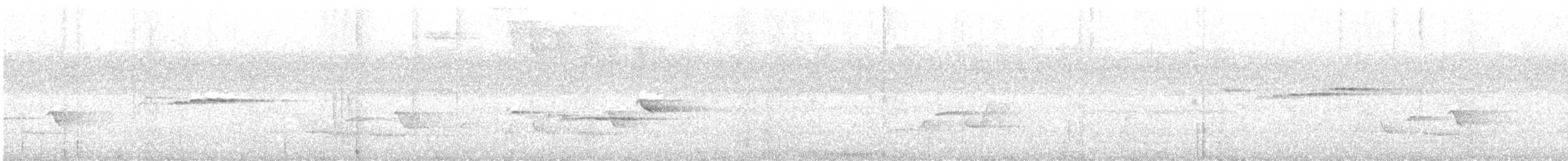 Sulphur-bellied Whistler - ML597803281