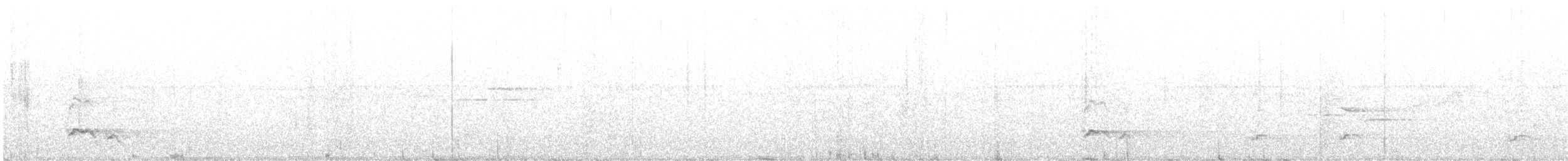 Sulawesischlangenadler - ML597804971
