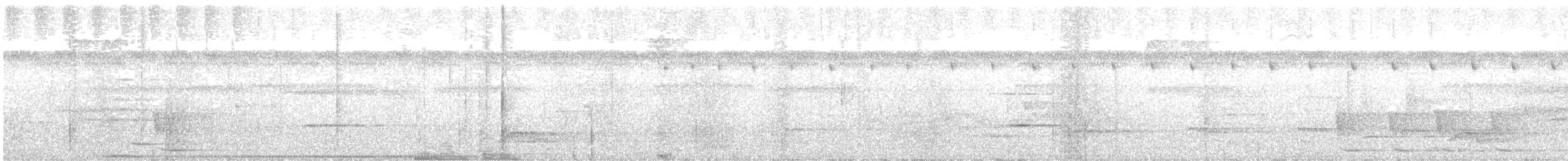 Tarçın Karınlı Has Güvercin - ML597811281