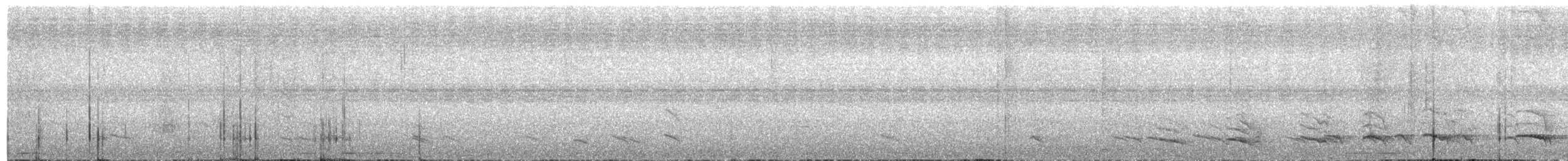Зондская кустарница - ML597813651