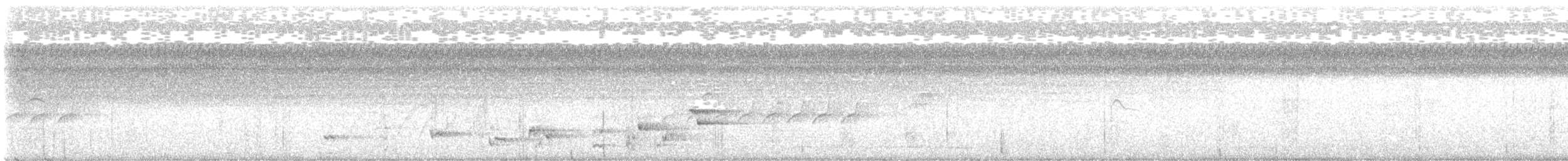 Молуккская миагра - ML597814631