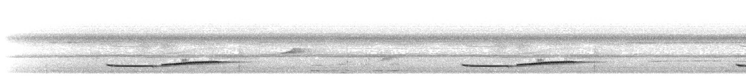 Large Wren-Babbler - ML597816201