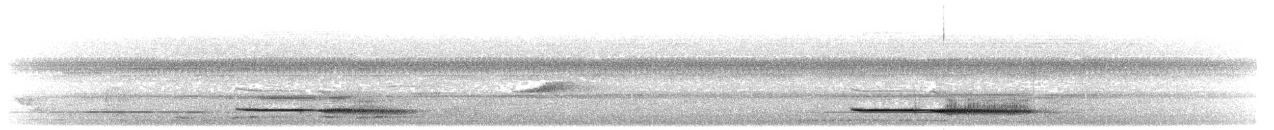 Large Wren-Babbler - ML597816211