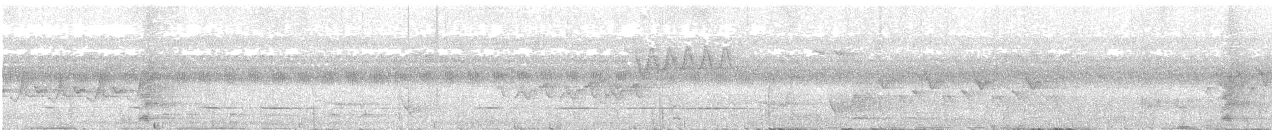 Halmahera Paradise-crow - ML597820741