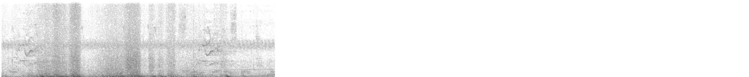 Moluccan Eclectus - ML597821111