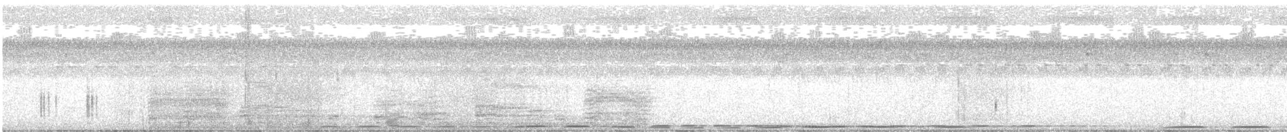 Bay Coucal - ML597822341