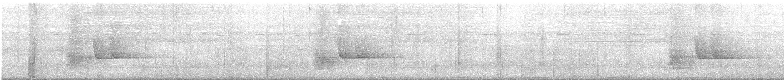 Drongo à crinière (leucops/banggaiensis) - ML597822361