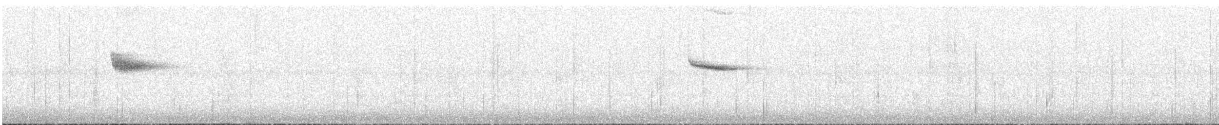 Белошапочная вилохвостка [группа frontalis] - ML597822511