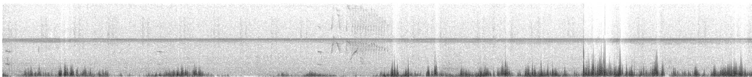 Straneck's Tyrannulet - ML597836781