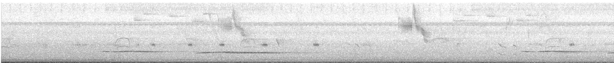 Little Tinamou - ML597866441