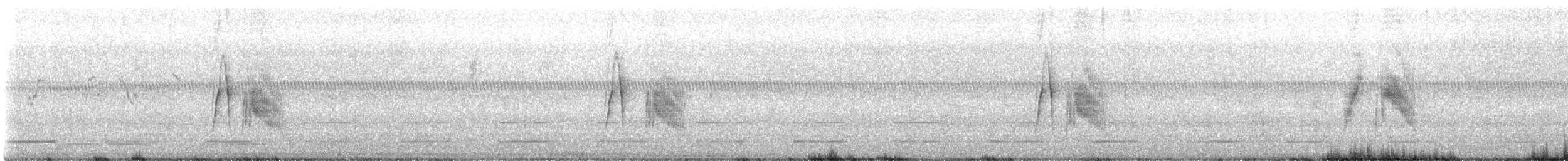 Піві-малюк вербовий - ML597870871