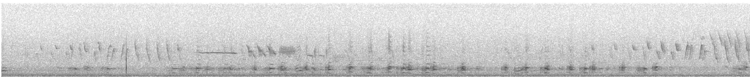 Northern Waterthrush - ML597871961