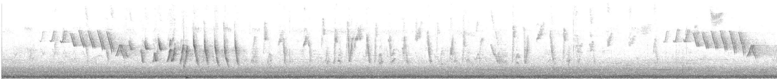 Northern Waterthrush - ML597871991