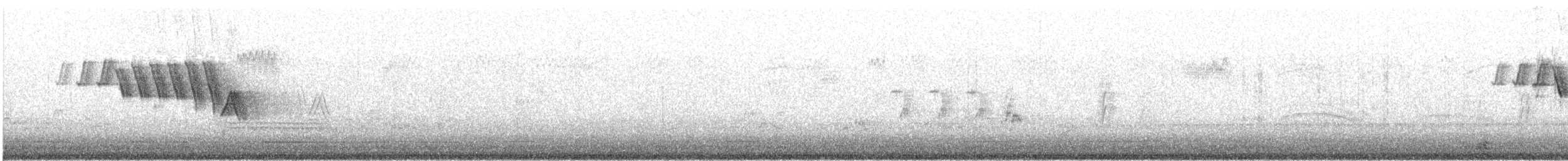 Yellow Warbler (Northern) - ML597872041
